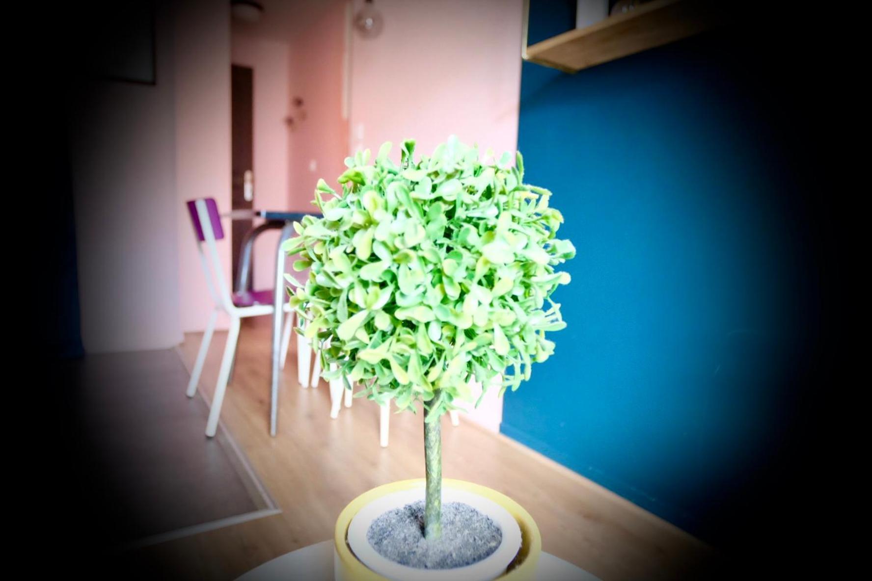 Apartament La Bonbonniere Rose Caen Zewnętrze zdjęcie